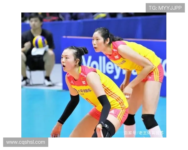 杨磊专访：从排球新星到传奇教练的成长之路与心路历程